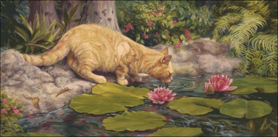 A Drink At The Pond